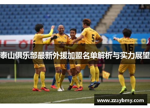 泰山俱乐部最新外援加盟名单解析与实力展望