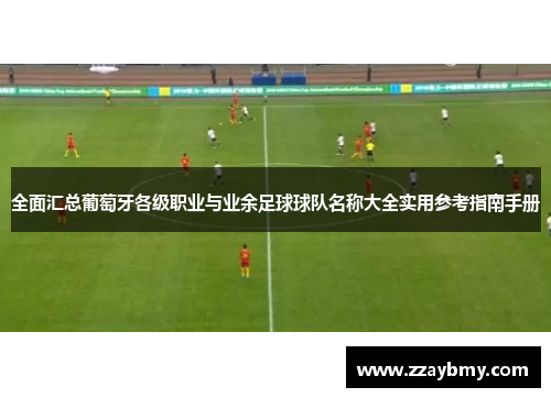 全面汇总葡萄牙各级职业与业余足球球队名称大全实用参考指南手册 全面汇总葡萄牙各级职业与业余足球球队名称大全实用参考指南手册