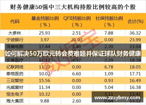 如何解决50万欧元转会费难题并保证球队财务健康 如何解决50万欧元转会费难题并保证球队财务健康